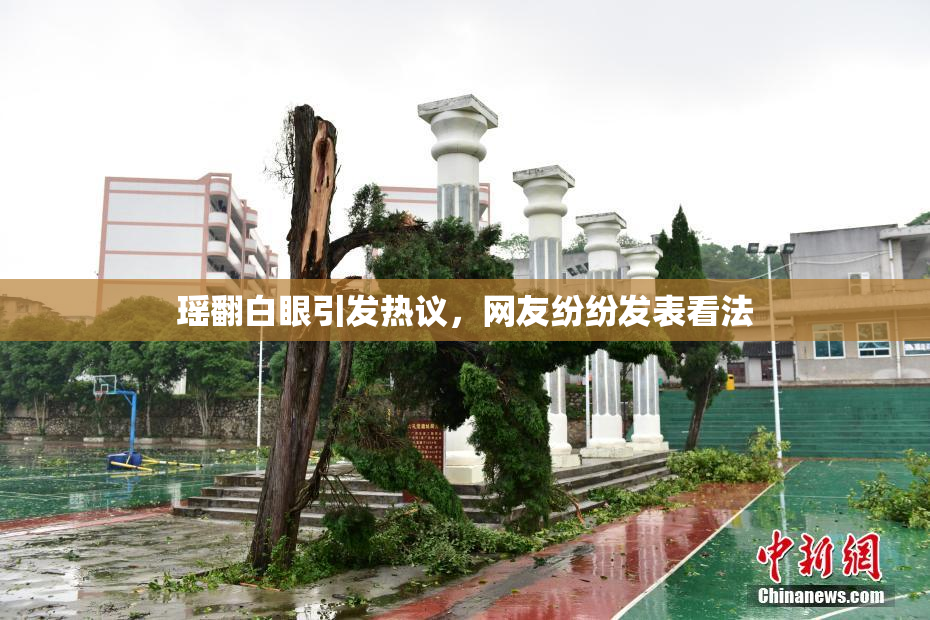 瑶翻白眼引发热议，网友纷纷发表看法