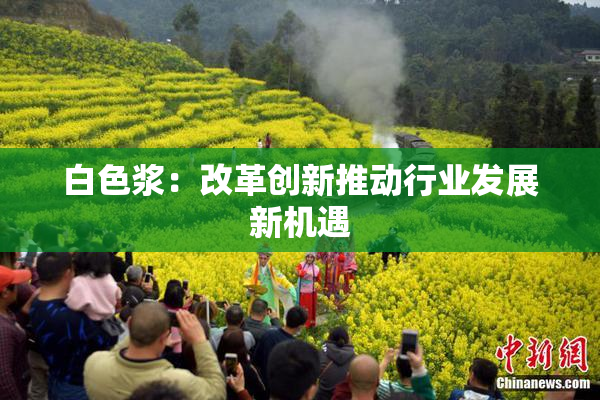 白色浆：改革创新推动行业发展新机遇