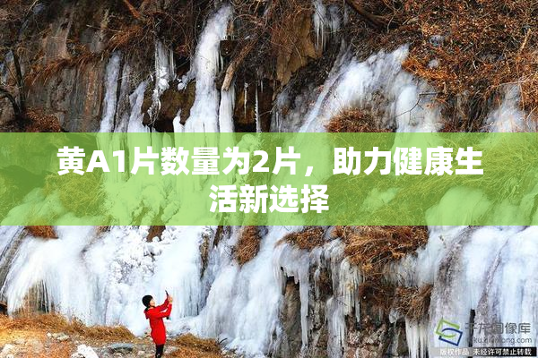 黄A1片数量为2片，助力健康生活新选择