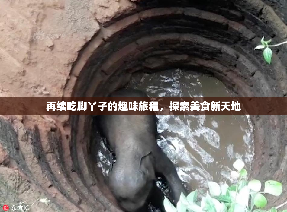 再续吃脚丫子的趣味旅程，探索美食新天地