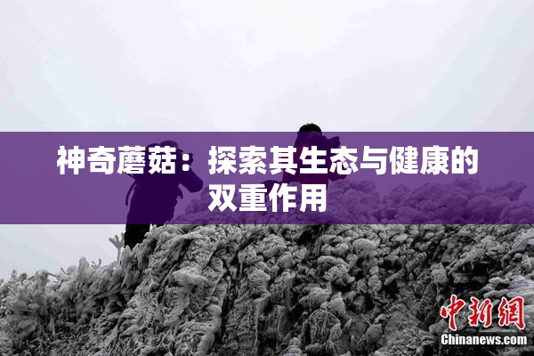 神奇蘑菇：探索其生态与健康的双重作用