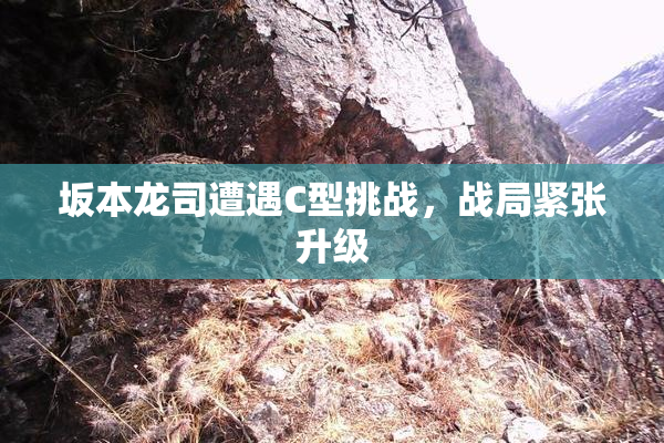 坂本龙司遭遇C型挑战，战局紧张升级