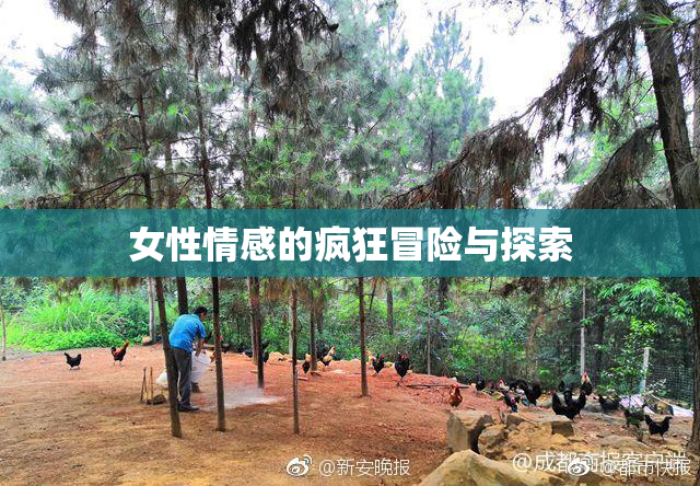 女性情感的疯狂冒险与探索