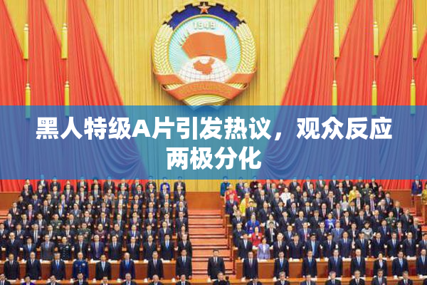 黑人特级A片引发热议，观众反应两极分化
