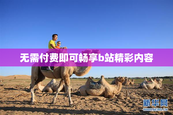 无需付费即可畅享b站精彩内容