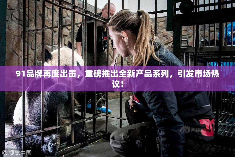 91品牌再度出击，重磅推出全新产品系列，引发市场热议！