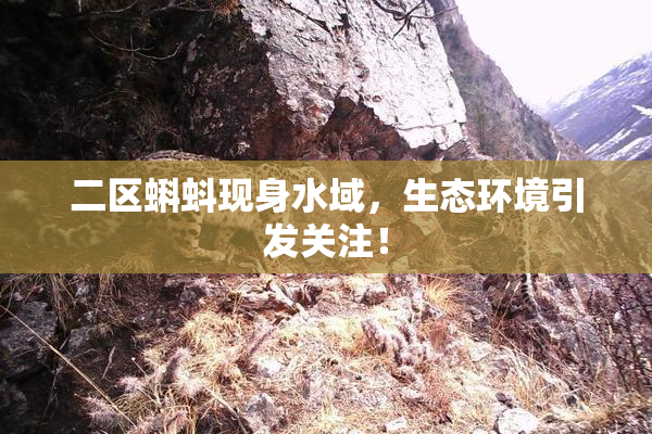 二区蝌蚪现身水域，生态环境引发关注！