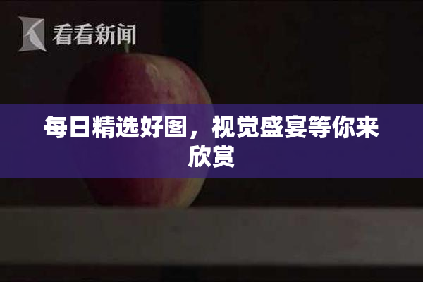 每日精选好图，视觉盛宴等你来欣赏