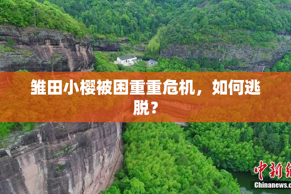 雏田小樱被困重重危机，如何逃脱？