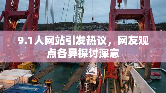9.1人网站引发热议，网友观点各异探讨深意