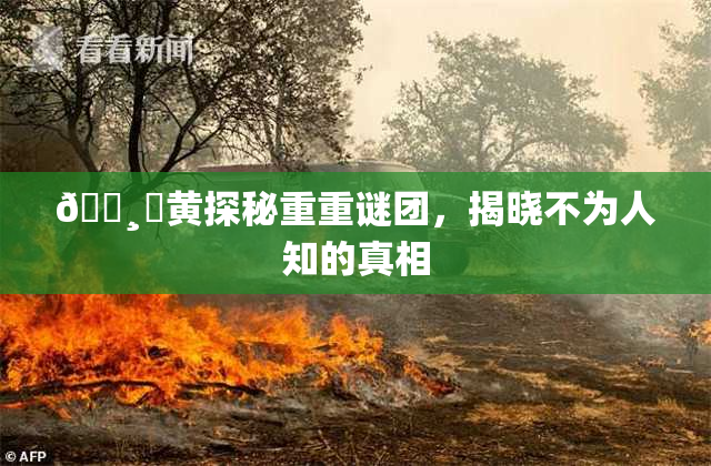 🌸‌黄探秘重重谜团，揭晓不为人知的真相