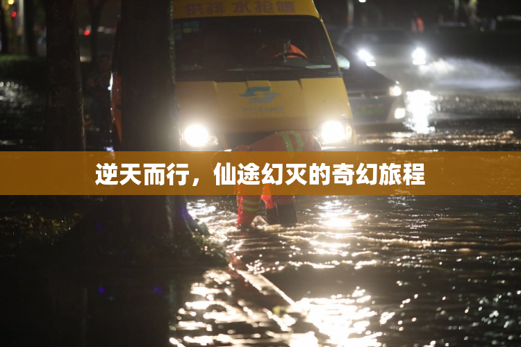 逆天而行，仙途幻灭的奇幻旅程