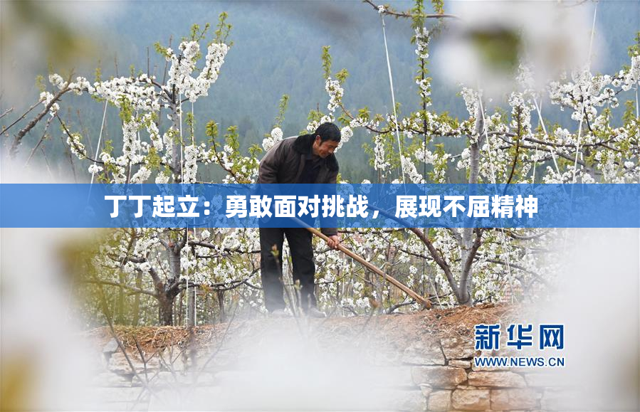 丁丁起立：勇敢面对挑战，展现不屈精神