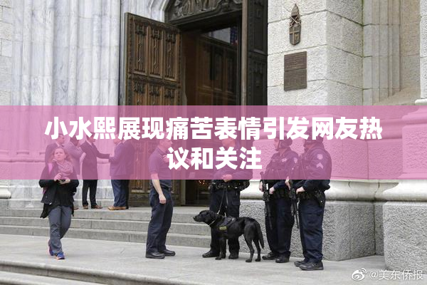 小水熙展现痛苦表情引发网友热议和关注