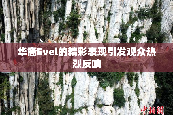 华裔Evel的精彩表现引发观众热烈反响