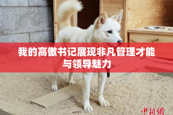 我的高傲书记展现非凡管理才能与领导魅力