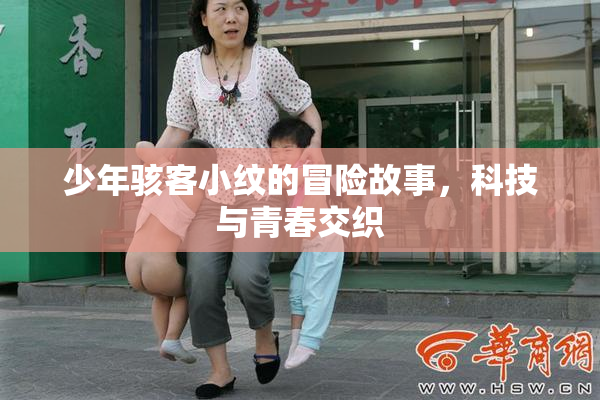 少年骇客小纹的冒险故事，科技与青春交织