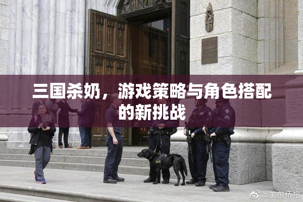 三国杀奶，游戏策略与角色搭配的新挑战