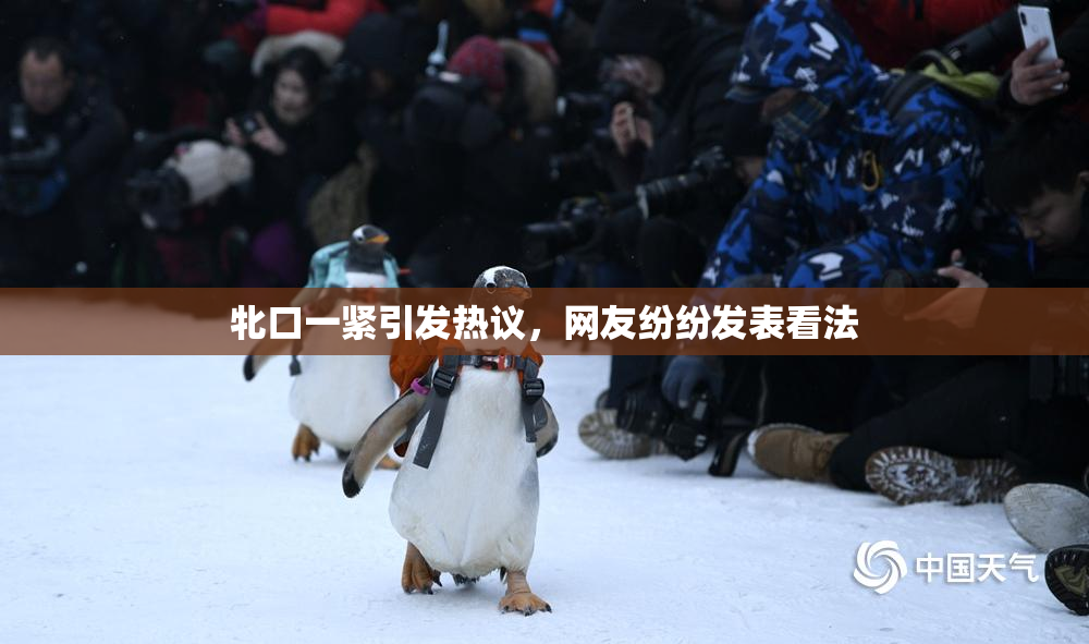 牝口一紧引发热议，网友纷纷发表看法