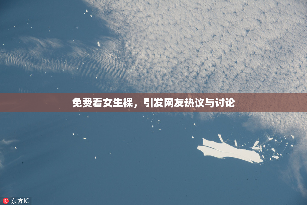 免费看女生裸，引发网友热议与讨论