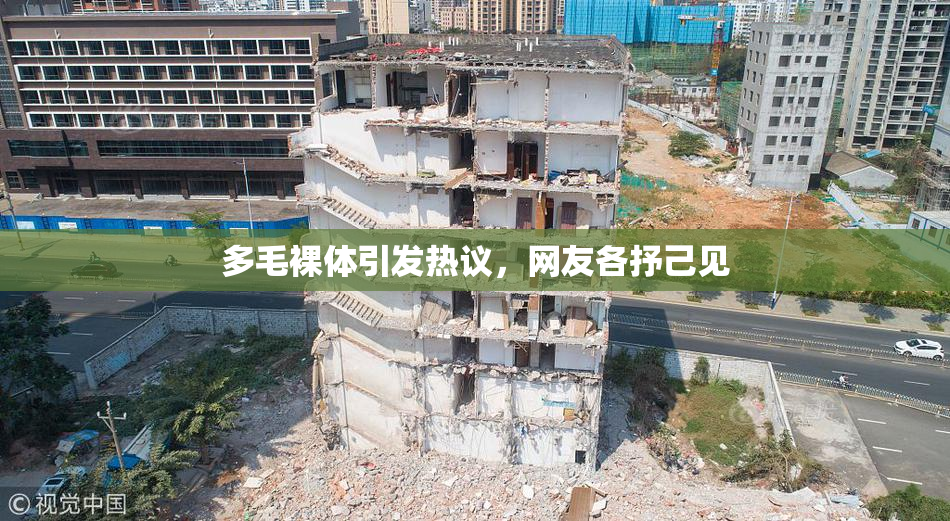 多毛裸体引发热议，网友各抒己见