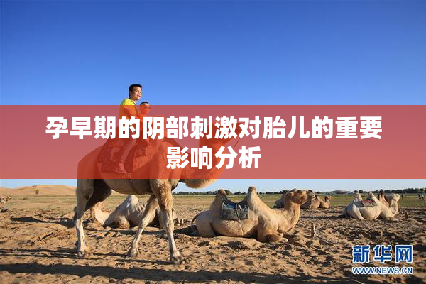 孕早期的阴部刺激对胎儿的重要影响分析