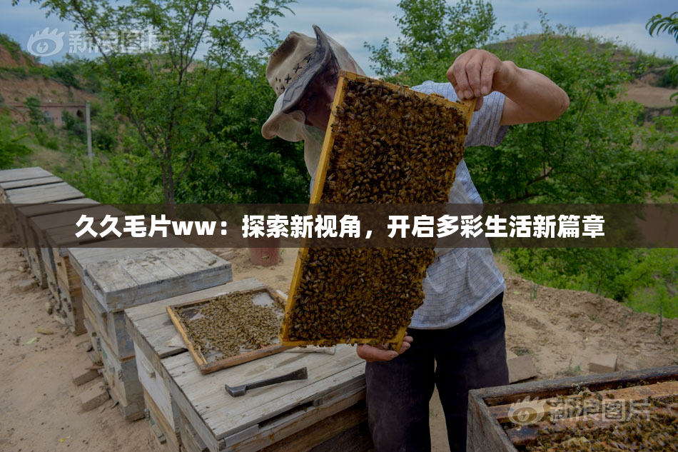 久久毛片ww：探索新视角，开启多彩生活新篇章