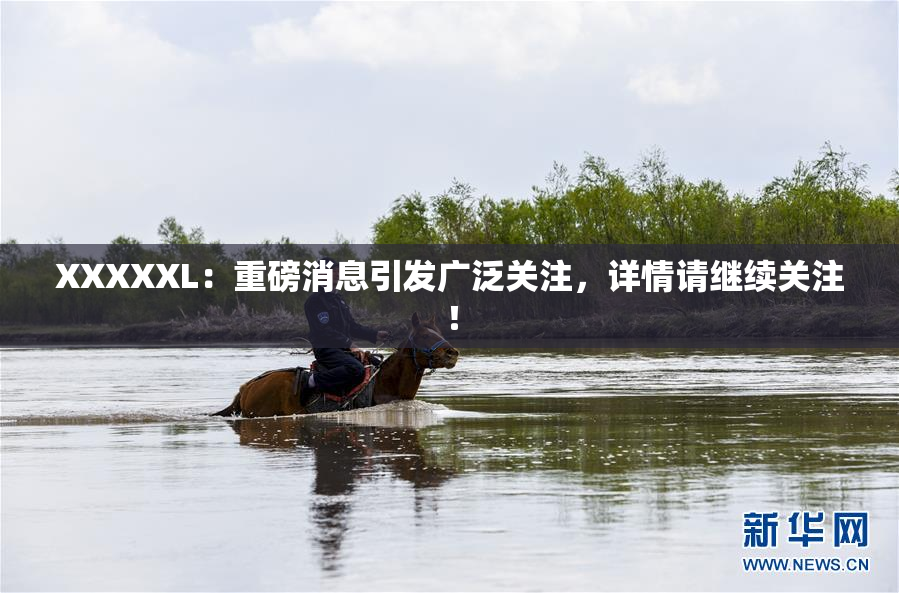 XXXXXL：重磅消息引发广泛关注，详情请继续关注！