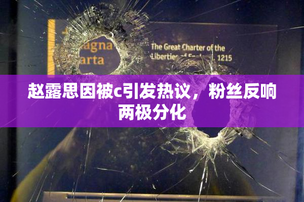 赵露思因被c引发热议，粉丝反响两极分化