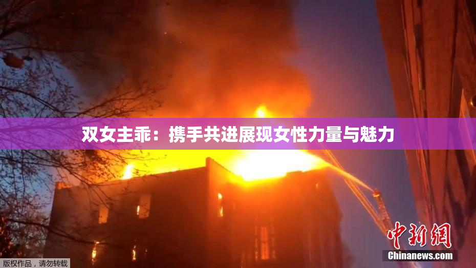 双女主乖：携手共进展现女性力量与魅力