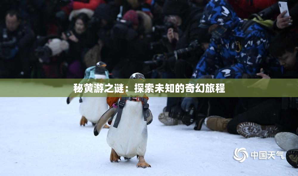 秘黄游之谜：探索未知的奇幻旅程