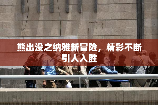 熊出没之纳雅新冒险，精彩不断引人入胜