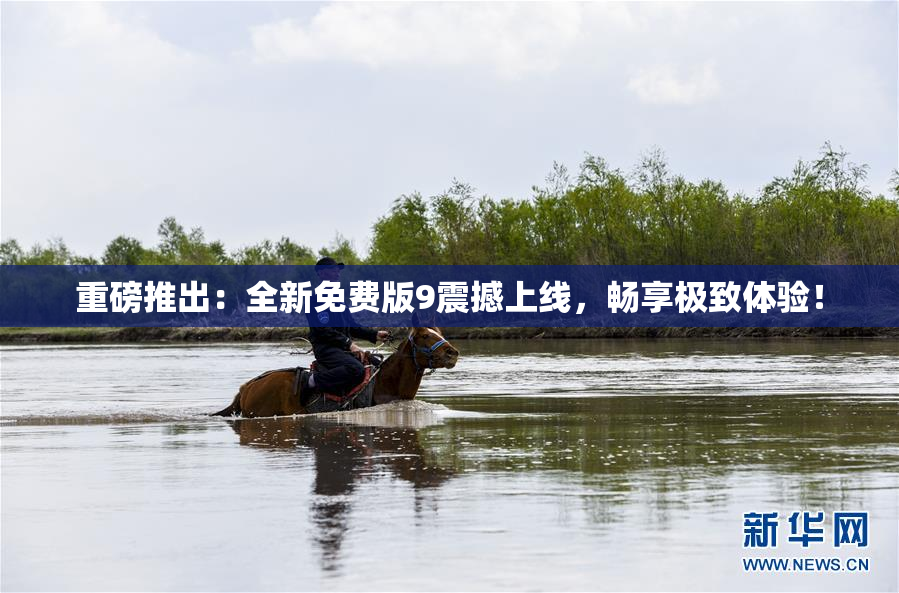 重磅推出：全新免费版9震撼上线，畅享极致体验！