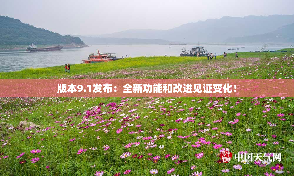 版本9.1发布：全新功能和改进见证变化！