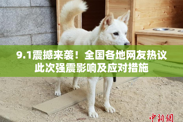 9.1震撼来袭！全国各地网友热议此次强震影响及应对措施