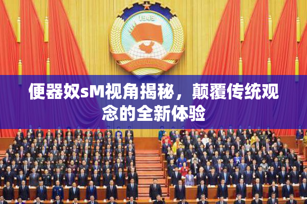 便器奴sM视角揭秘，颠覆传统观念的全新体验