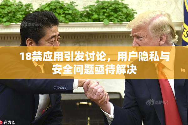 18禁应用引发讨论，用户隐私与安全问题亟待解决