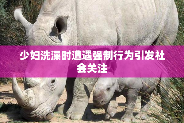 少妇洗澡时遭遇强制行为引发社会关注