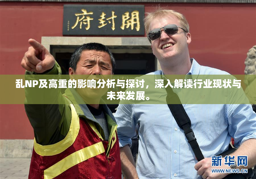 乱NP及高重的影响分析与探讨，深入解读行业现状与未来发展。