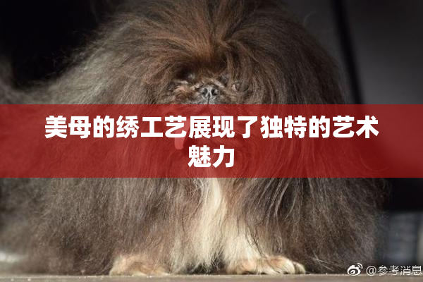 美母的绣工艺展现了独特的艺术魅力