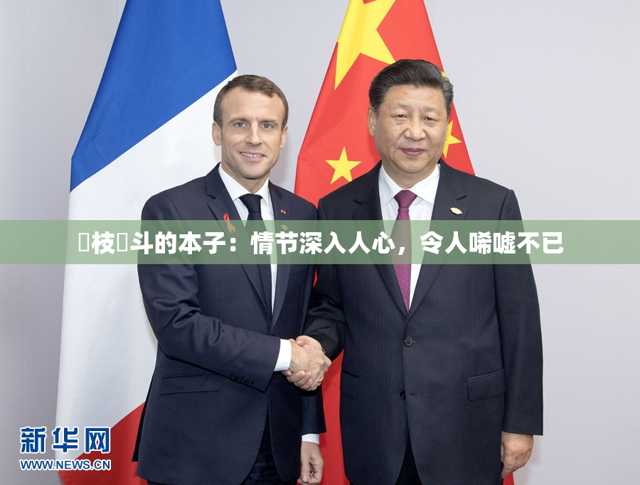 狛枝凪斗的本子：情节深入人心，令人唏嘘不已