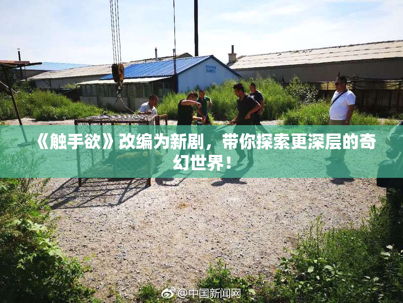 《触手欲》改编为新剧，带你探索更深层的奇幻世界！