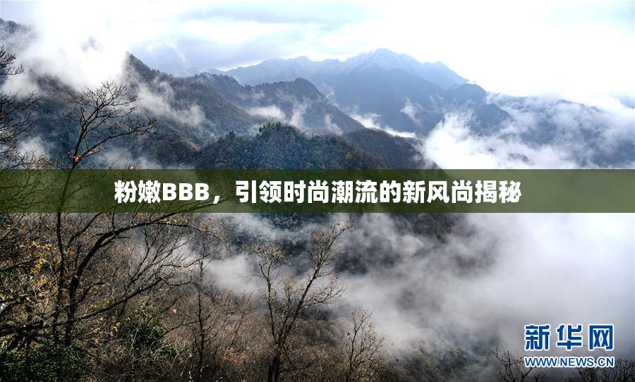 粉嫩BBB，引领时尚潮流的新风尚揭秘