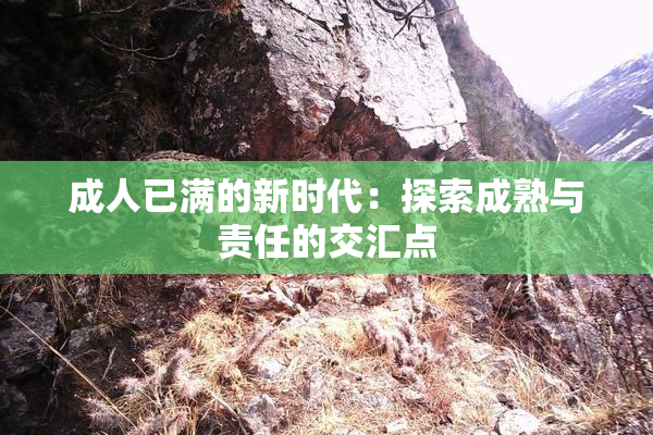 成人已满的新时代：探索成熟与责任的交汇点