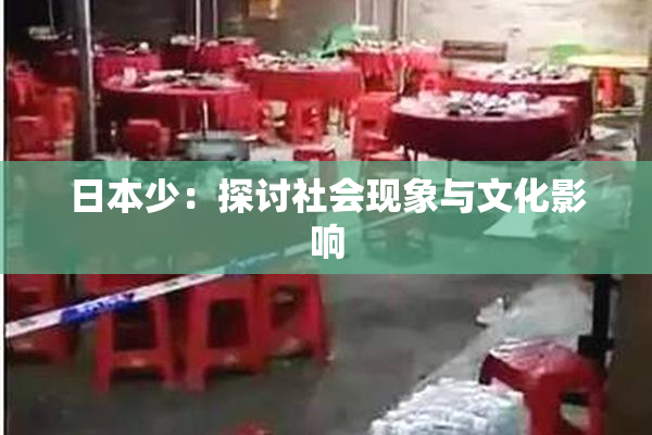日本少：探讨社会现象与文化影响