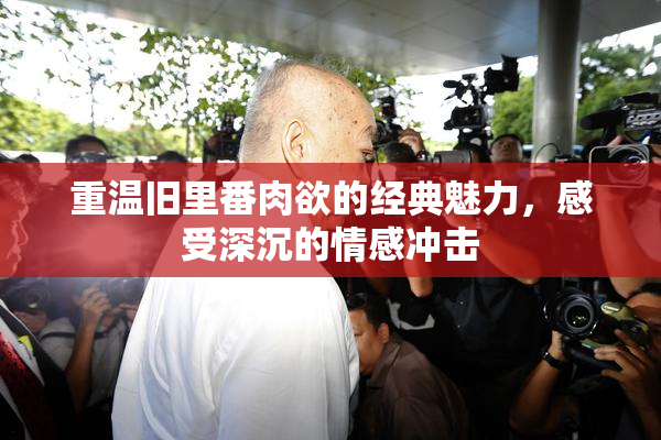 重温旧里番肉欲的经典魅力，感受深沉的情感冲击