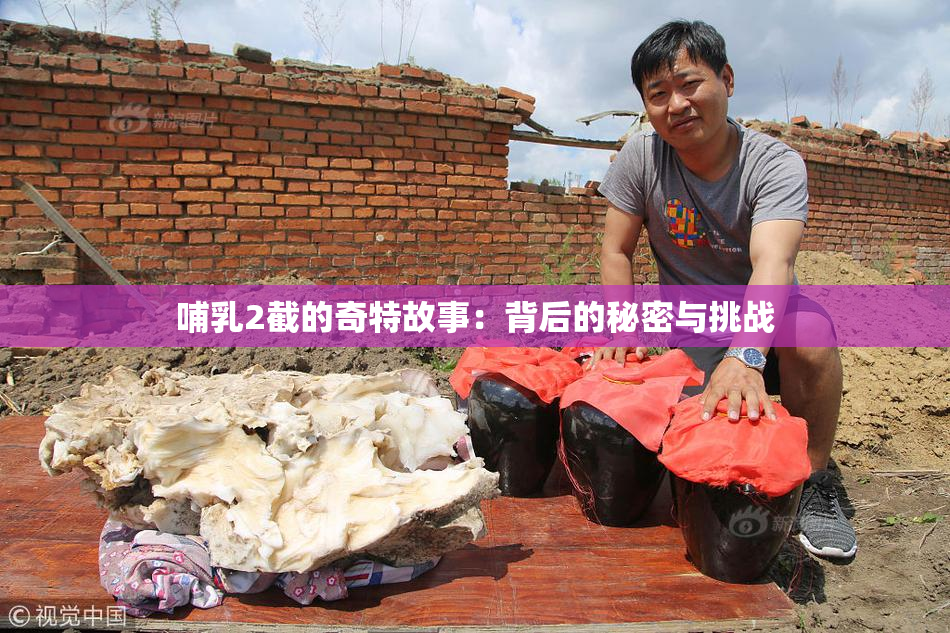 哺乳2截的奇特故事：背后的秘密与挑战