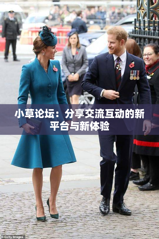 小草论坛：分享交流互动的新平台与新体验