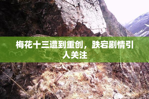 梅花十三遭到重创，跌宕剧情引人关注