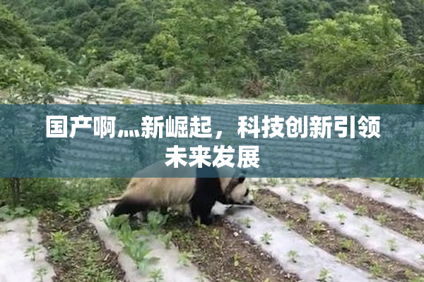 国产啊灬新崛起，科技创新引领未来发展